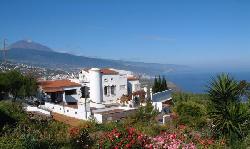 Finca Angelus