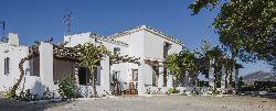 Cortijo Alto 20